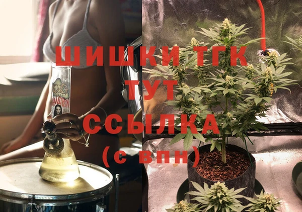 МДПВ Бронницы