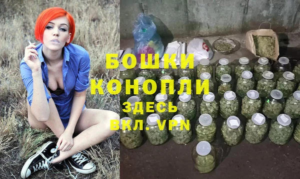 МДПВ Бронницы