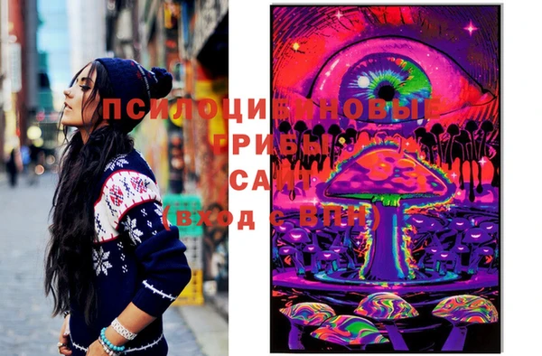 МДПВ Бронницы